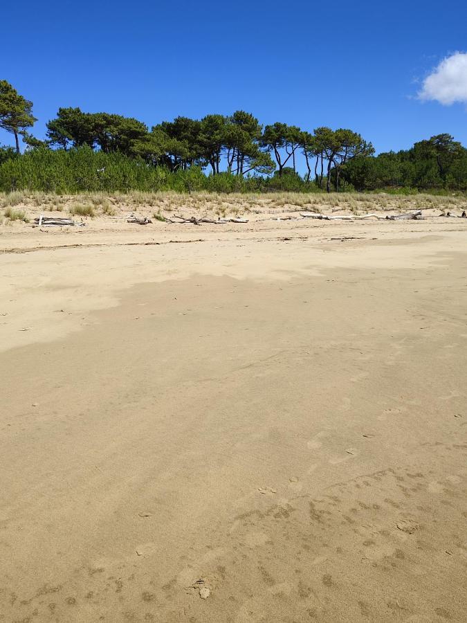 Idealement Situe, Tout A Pied, 60M2 Saint-Georges-de-Didonne Extérieur photo